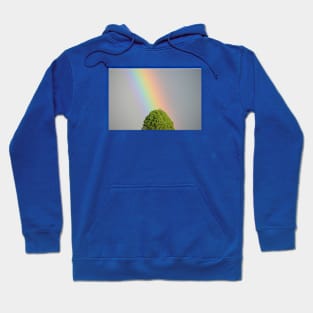 Rainbow / Swiss Artwork Photography Hoodie